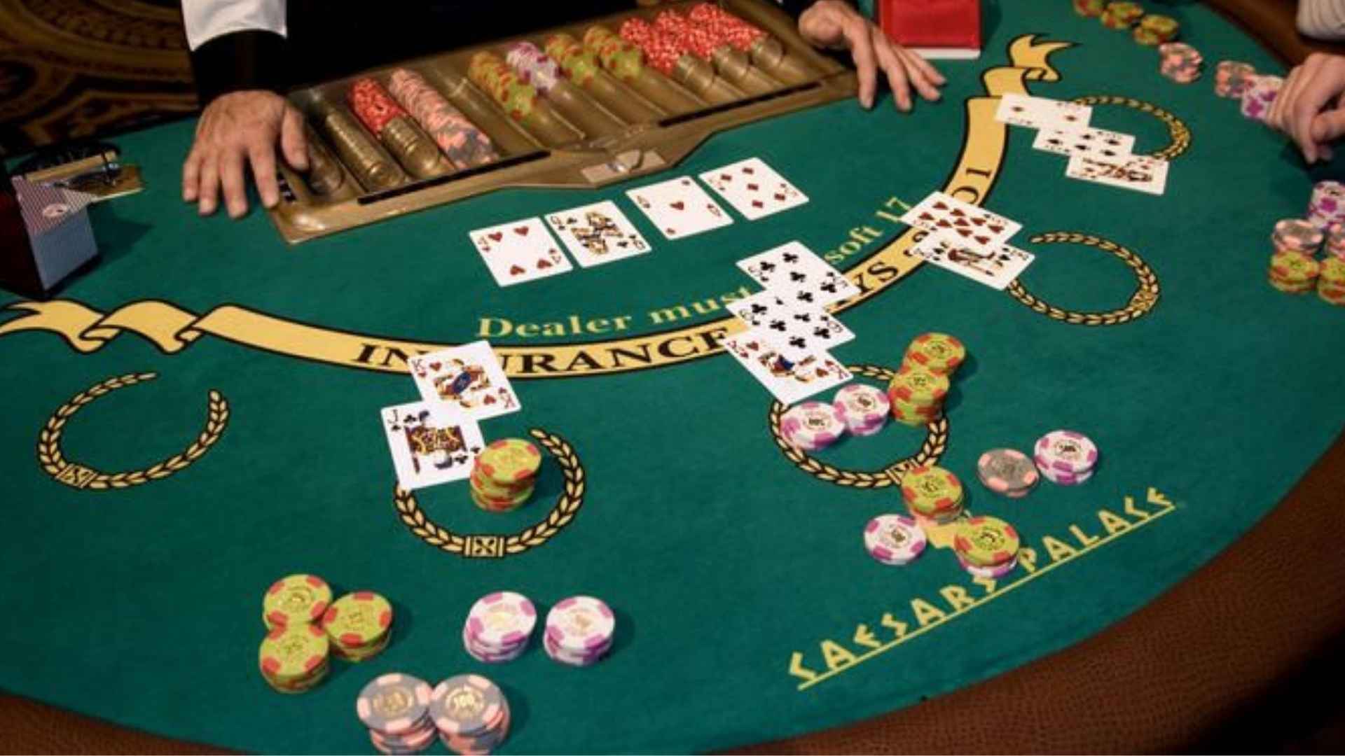 Live Casino Entertainment That Reflects Modern Technology